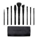 Set de brochas profesionales